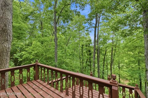 Tiny photo for 730 Chris Way, Sevierville, TN 37876 (MLS # 1339548)