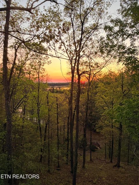 Tiny photo for 730 Chris Way, Sevierville, TN 37876 (MLS # 1339548)