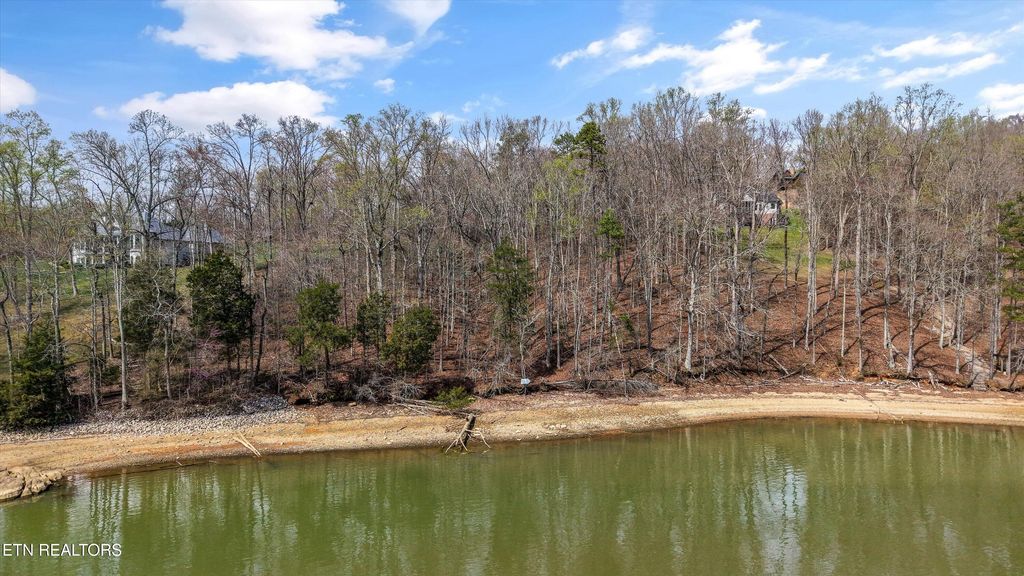 Photo of 123 E Shore Drive, Rockwood, TN 37854 (MLS # 1332884)