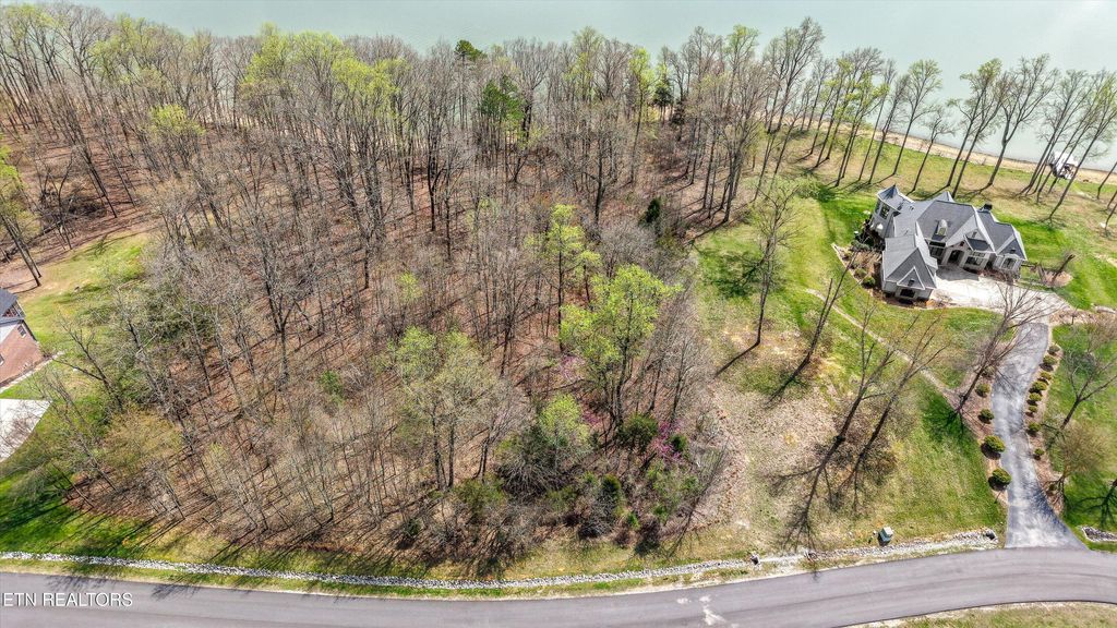 Photo of 123 E Shore Drive, Rockwood, TN 37854 (MLS # 1332884)