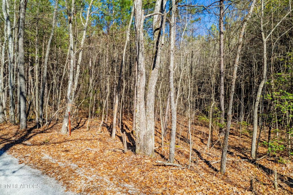 Photo of 0 Sam Summers Rd, Rockwood, TN 37854 (MLS # 1289465)