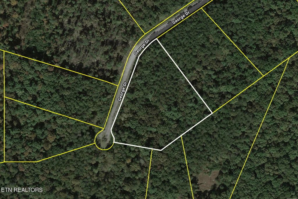 Photo of George Drive, Deer Lodge, TN 37726 (MLS # 1324749)