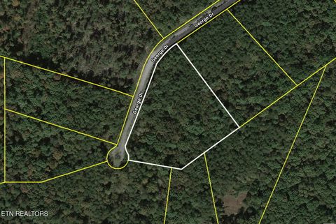 Photo of George Drive, Deer Lodge, TN 37726 (MLS # 1324749)