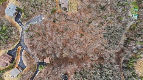 Tiny photo for Mathis Hollow Rd, Gatlinburg, TN 37738 (MLS # 1331736)