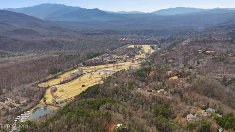 Tiny photo for Mathis Hollow Rd, Gatlinburg, TN 37738 (MLS # 1331736)
