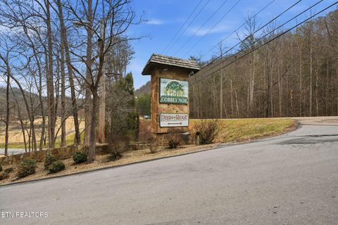 Tiny photo for Mathis Hollow Rd, Gatlinburg, TN 37738 (MLS # 1331736)