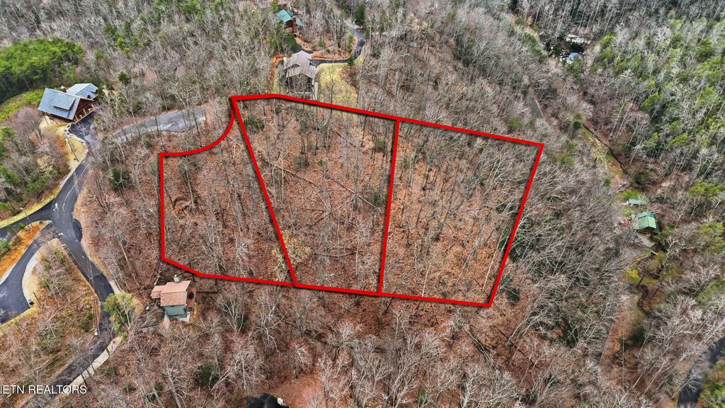 Photo of Mathis Hollow Rd, Gatlinburg, TN 37738 (MLS # 1331736)