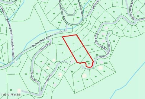 Tiny photo for Mathis Hollow Rd, Gatlinburg, TN 37738 (MLS # 1331736)