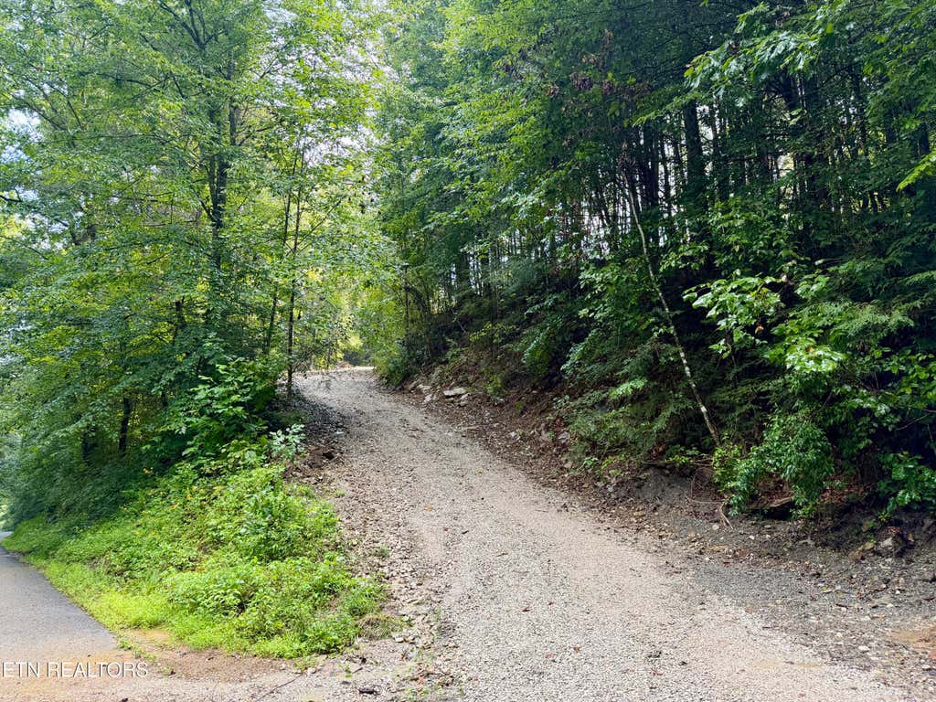 Photo of 0 Melvin Hollow Rd, Pioneer, TN 37847 (MLS # 1351062)
