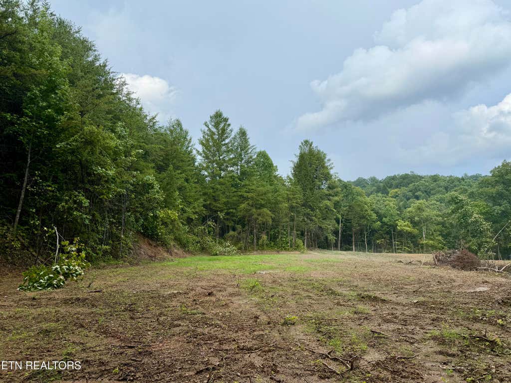 Photo of 0 Melvin Hollow Rd, Pioneer, TN 37847 (MLS # 1351062)
