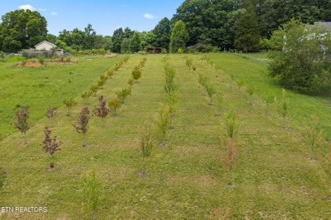 Tiny photo for 260 Long Hollow Rd, Clinton, TN 37716 (MLS # 1346241)