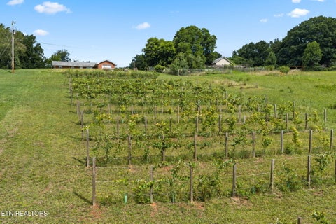 Tiny photo for 260 Long Hollow Rd, Clinton, TN 37716 (MLS # 1346241)