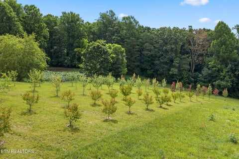 Tiny photo for 260 Long Hollow Rd, Clinton, TN 37716 (MLS # 1346241)