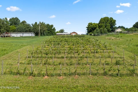Tiny photo for 260 Long Hollow Rd, Clinton, TN 37716 (MLS # 1346241)