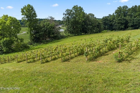 Tiny photo for 260 Long Hollow Rd, Clinton, TN 37716 (MLS # 1346241)