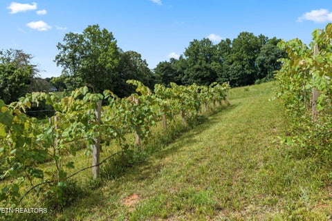 Tiny photo for 260 Long Hollow Rd, Clinton, TN 37716 (MLS # 1346241)