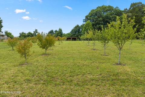 Tiny photo for 260 Long Hollow Rd, Clinton, TN 37716 (MLS # 1346241)