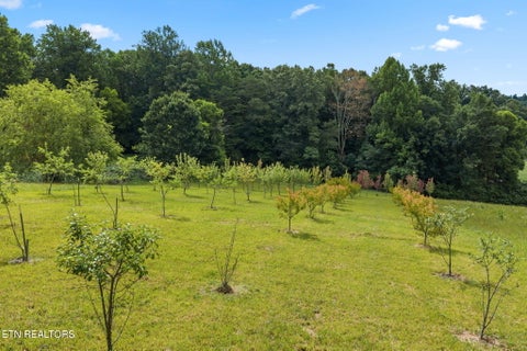 Tiny photo for 260 Long Hollow Rd, Clinton, TN 37716 (MLS # 1346241)