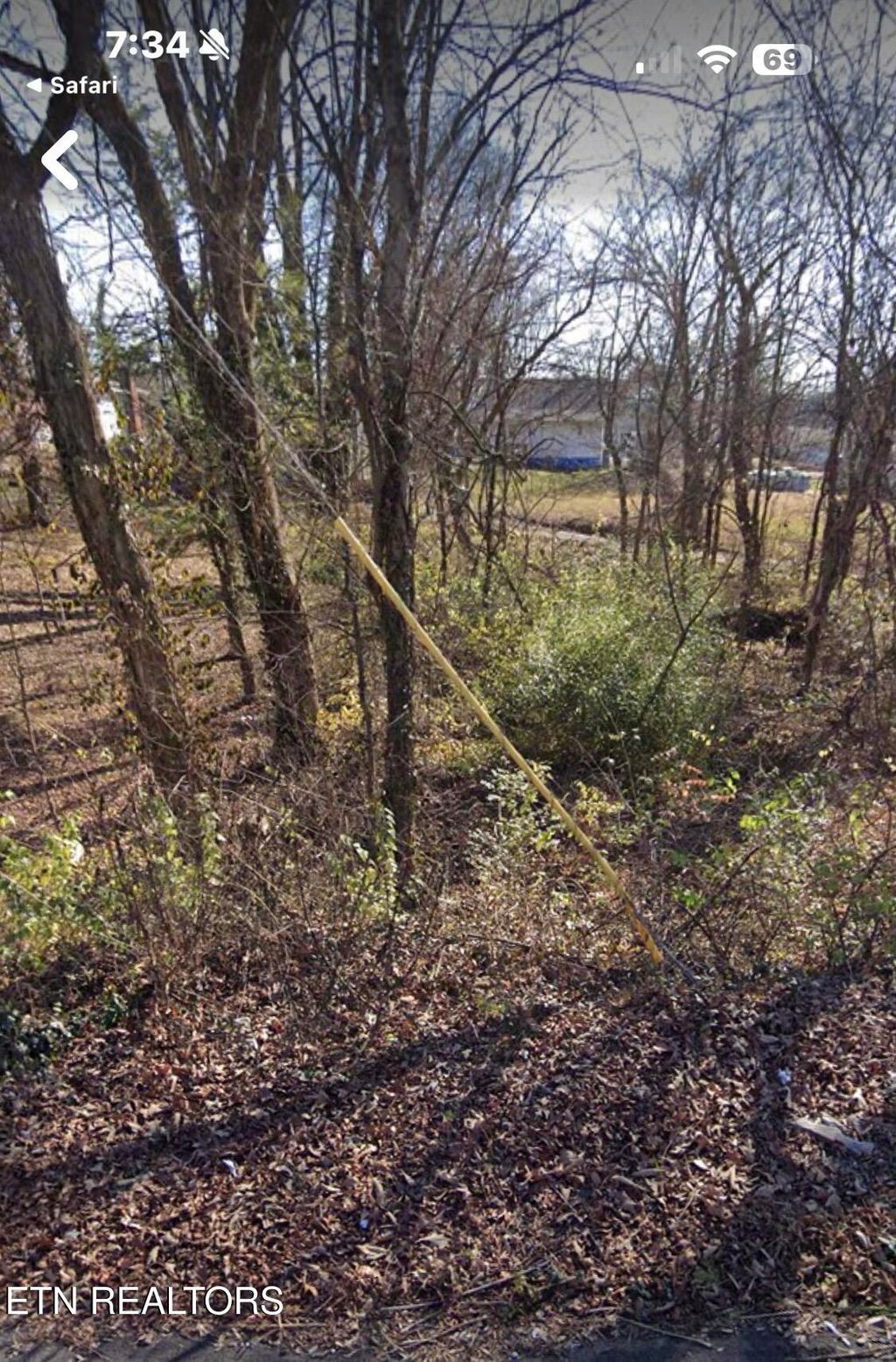 Photo of 184 Chickamauga Ave, Knoxville, TN 37917 (MLS # 1333860)