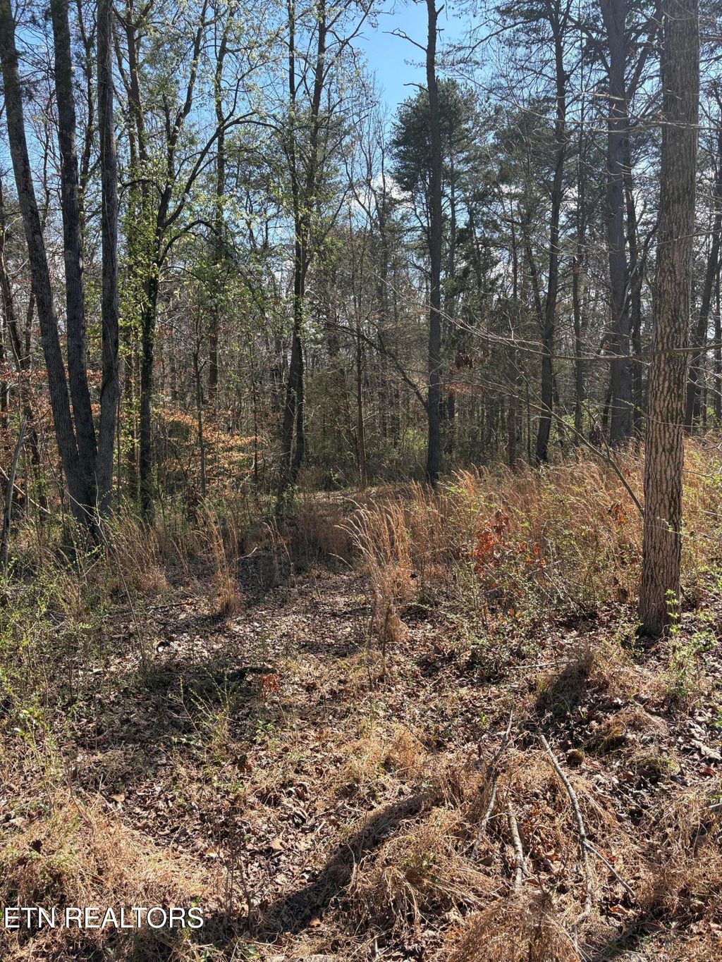 Photo of 609 N Old Tellico Hwy, Madisonville, TN 37354 (MLS # 1331887)