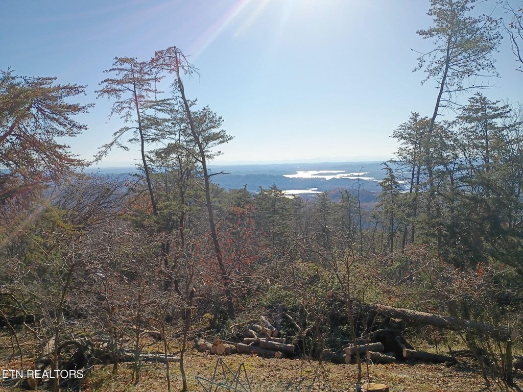 Photo of Part of Lot 10 Wallen Lane, Bean Station, TN 37708 (MLS # 1323559)