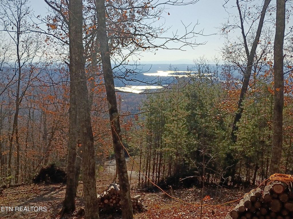 Photo of Part of Lot 10 Wallen Lane, Bean Station, TN 37708 (MLS # 1323559)