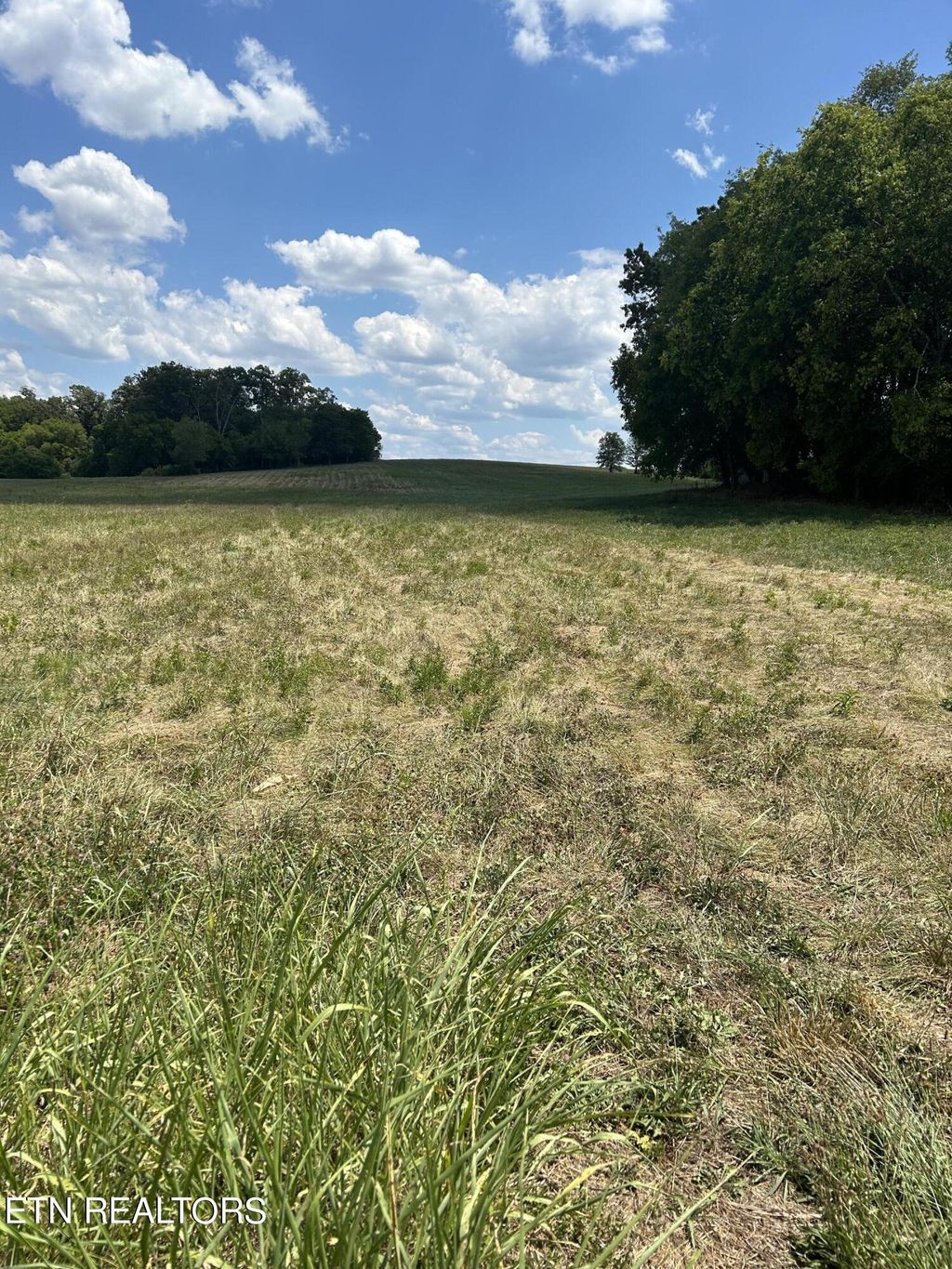 Photo of 979 FrogPond Rd, Friendsville, TN 37737 (MLS # 1269370)