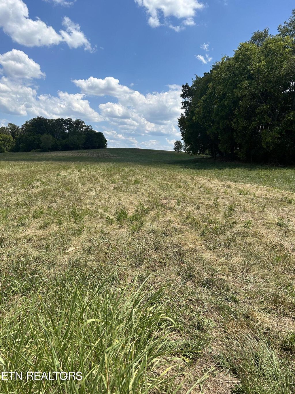 Photo of 979 FrogPond Rd, Friendsville, TN 37737 (MLS # 1269370)