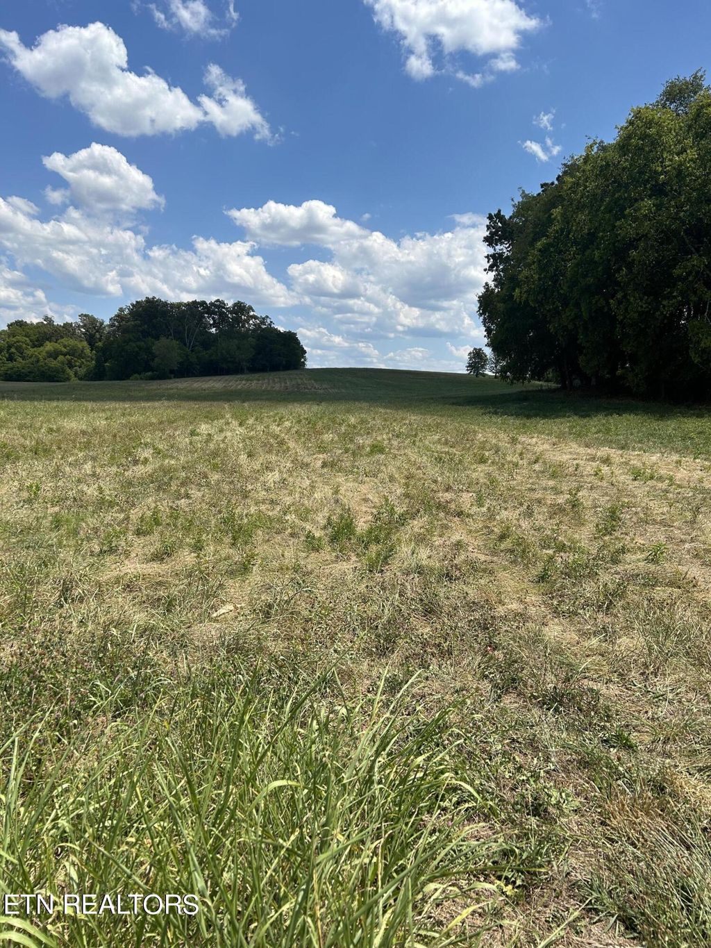 Photo of 979 FrogPond Rd, Friendsville, TN 37737 (MLS # 1269370)