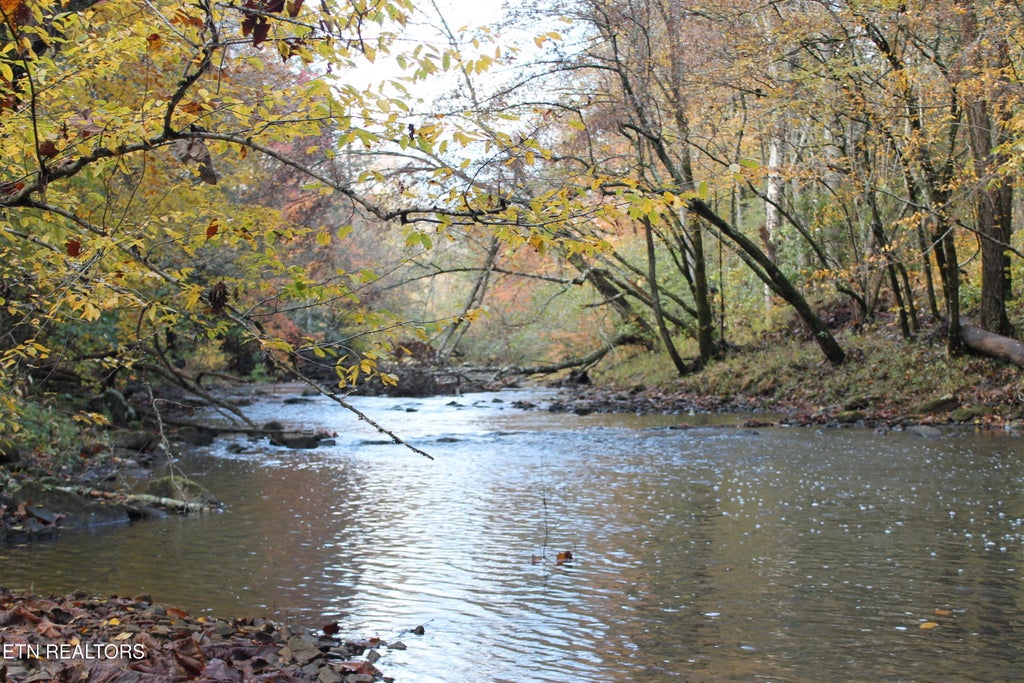 Photo of Baird Branch, Winfield, TN 37892 (MLS # 1320775)