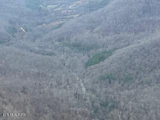 Photo of Baird Branch, Winfield, TN 37892 (MLS # 1320775)