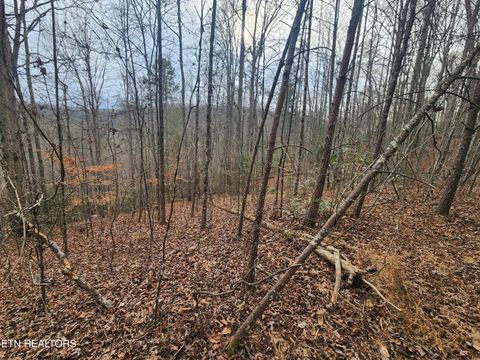 Tiny photo for Vann Rd, Harriman, TN 37748 (MLS # 1325088)