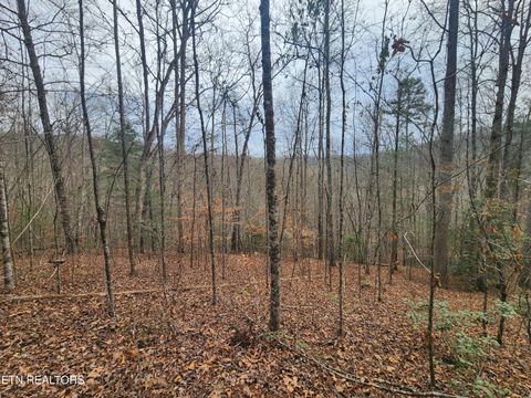 Tiny photo for Vann Rd, Harriman, TN 37748 (MLS # 1325088)