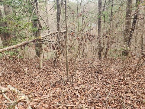 Tiny photo for Vann Rd, Harriman, TN 37748 (MLS # 1325088)