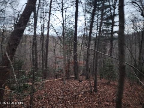 Tiny photo for Vann Rd, Harriman, TN 37748 (MLS # 1325088)
