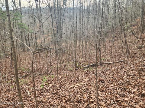 Tiny photo for Vann Rd, Harriman, TN 37748 (MLS # 1325088)