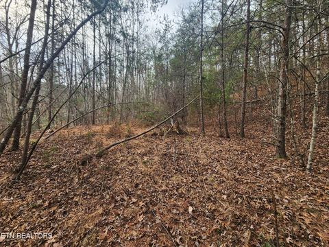 Tiny photo for Vann Rd, Harriman, TN 37748 (MLS # 1325088)