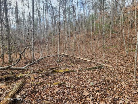 Tiny photo for Vann Rd, Harriman, TN 37748 (MLS # 1325088)
