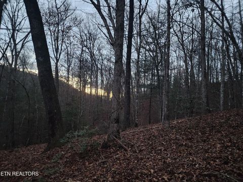 Tiny photo for Vann Rd, Harriman, TN 37748 (MLS # 1325088)