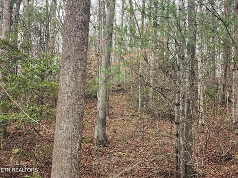 Tiny photo for Vann Rd, Harriman, TN 37748 (MLS # 1325088)