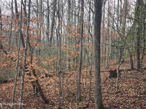 Tiny photo for Vann Rd, Harriman, TN 37748 (MLS # 1325088)