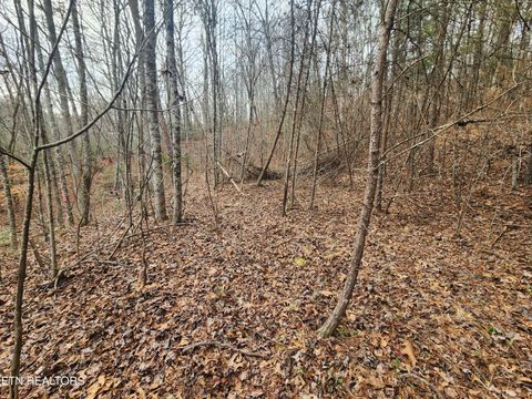 Tiny photo for Vann Rd, Harriman, TN 37748 (MLS # 1325088)