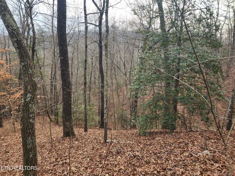 Tiny photo for Vann Rd, Harriman, TN 37748 (MLS # 1325088)
