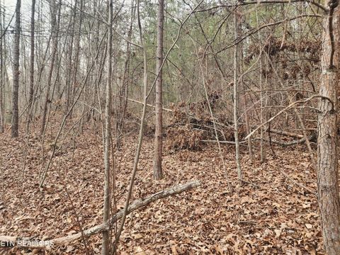 Tiny photo for Vann Rd, Harriman, TN 37748 (MLS # 1325088)