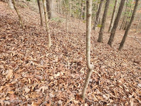 Tiny photo for Vann Rd, Harriman, TN 37748 (MLS # 1325088)