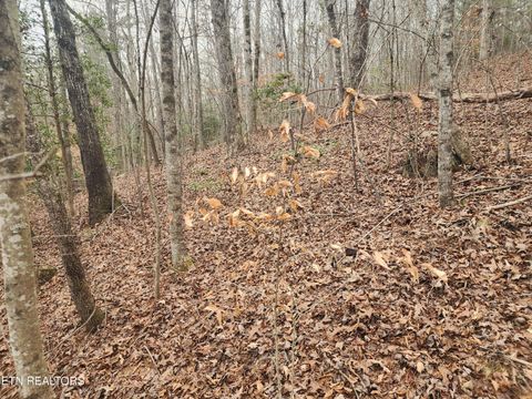 Tiny photo for Vann Rd, Harriman, TN 37748 (MLS # 1325088)