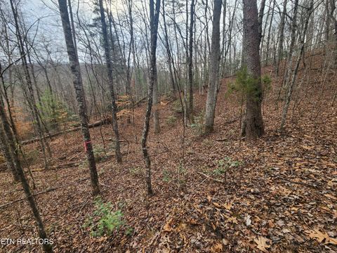 Tiny photo for Vann Rd, Harriman, TN 37748 (MLS # 1325088)