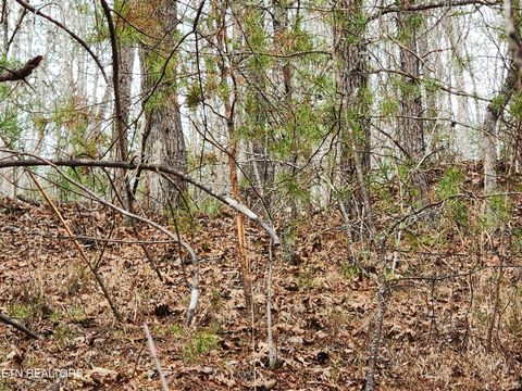 Tiny photo for Vann Rd, Harriman, TN 37748 (MLS # 1325088)