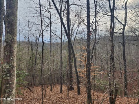 Tiny photo for Vann Rd, Harriman, TN 37748 (MLS # 1325088)