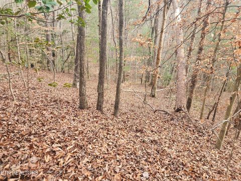 Tiny photo for Vann Rd, Harriman, TN 37748 (MLS # 1325088)